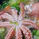 계절포차 이미지