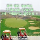 [중국] 청도 캐슬렉스 11월16월 ~ 12월 5일 2박~7박패키지 제주항공!! 이미지