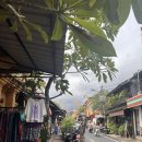 4893 | 발리 우붓 세니만커피 현지인 많은 로컬카페