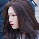 루이스 헤어