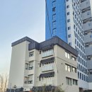 스테이화가 | 부산애견동반숙소 스테이화가 감성 가득한 기장연화리펜션 추천