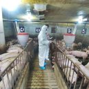 숨골농장 이미지