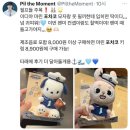 하이베라스텔 | 이디야 산리오 콜라보 신메뉴 음료와 굿즈 솔직 리뷰 및 이벤트 정보
