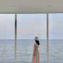 비다펠리즈(VIDA FELIZ) 이미지