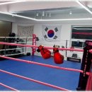 올스타 복싱클럽 이미지