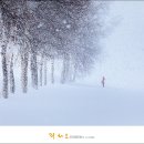 a wintry feeling 이미지