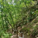 소양강둘레길 1코스 이미지