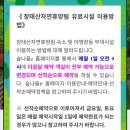 자연휴양림 입구 | [대전/휴양림] 장태산자연휴양림 숙소 후기｜숲속의 집(대나무) 내부·예약방법·겨울 방문 솔직 정리