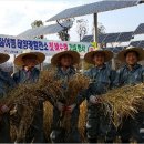 이상봉 태양광발전소 이미지