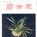 한국란농원 이미지