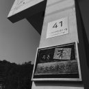 (사)푸른차문화연구원 이미지