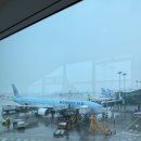 백룡한의원 | 중국 장가계 패키기 여행(옵션, 쇼핑)찐후기 부모님과 효도여행(2월 날씨, 환전, 준비물 꿀팁)