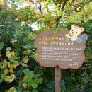 (주)레이나 컴퍼니 이미지