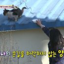 해나농장 이미지