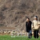 안의(회관)마을회관 이미지