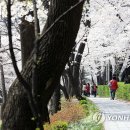 경기관광공사는 '설레는 경기도 봄꽃 여행지' 이미지