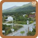 미용하는 강아지 이미지