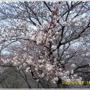 장복산길 이미지