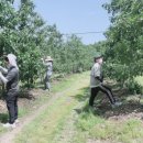 번암면사무소 이미지