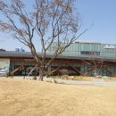 공원(인라인스케이트장) 이미지