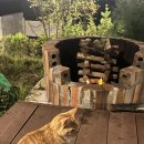 클레리아 이미지