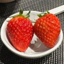 한우근 | [속초 맛집] 14개월 아기랑도 갈 수 있는 한우 오마카세, ‘한우근’