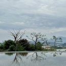 pet193다9135 | 경주 하동 카페 불국사 근처 신상 카페 브레스커피웍스 평일 방문 후기