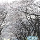 화개농협주유소 이미지