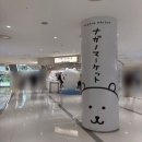 [서울/용산구] 나가노 마켓 팝업 영등포 타임스퀘어 다녀온 후기