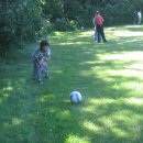 공굴려맞추기 이미지