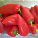 현일태권도장 이미지