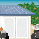 벨롱하우스 이미지