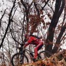 대산농업협동조합 이미지