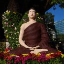 향기있는풍경 이미지