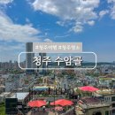 연지방아마을버스정류장 | 청주 시내 가볼만한곳 수암골 전망대 벽화마을