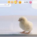 애니타임 이미지