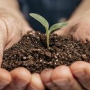 현대어울림 이미지