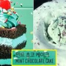 초코돼지 인사이트
