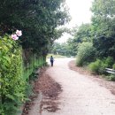 백조약수터 이미지