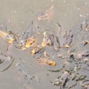 오륙도 판타지 이미지