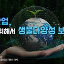보험 | 보험산업, 생존을 위해서 생물다양성 보호해야 | 한국금융연구원 이미지