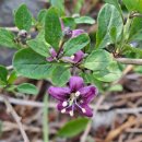 건강샘온누리약국 이미지