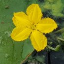 해바라기유치원 이미지