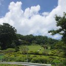 이사영 및 이백찬 묘 이미지