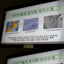 팔등슈퍼