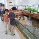 한타 부산판매 | 부산 키즈카페 명지 아쿠아플레이하우스 초등 아이와 다녀온 후기