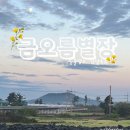 금오름별장 네이버블로그