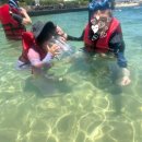 도안키즈호텔(DOAN Kids Hotel) | 나트랑 여행 / 아이랑 함께한 나트랑 가족여행 숙소, 스노쿨링 가능한 알리부 리조트 솔직 후기