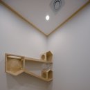 낭만고양이병원 이미지