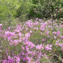 대장동경로당 이미지